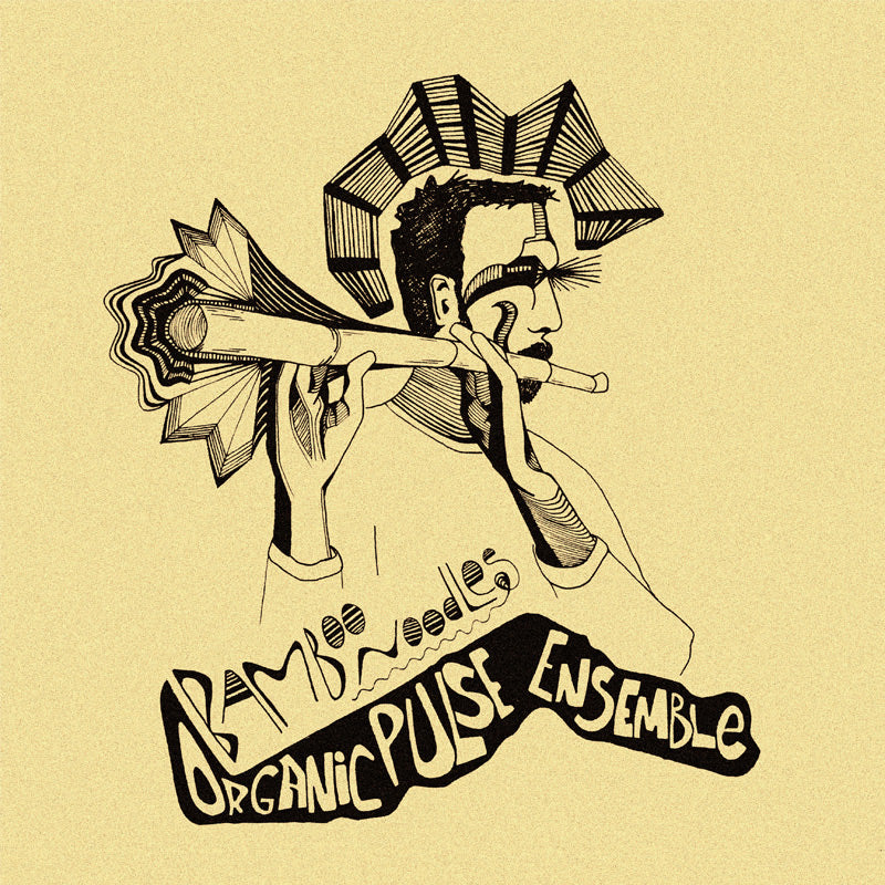 Organic Pulse Ensemble - Bamboo Noodles 10”